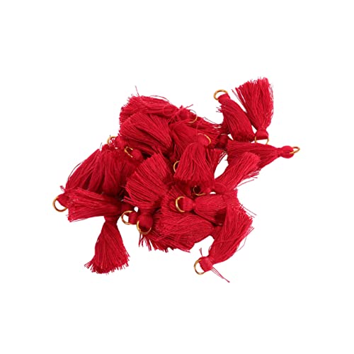 DECORNIJIA 30 Stück Teiliges Baumwollquasten Anhänger mit Metallring Farbige Mini tasseln für DIY Schmuck Lesezeichen Taschen Kleidungsdekoration Chinesischer Stil DECORNIJIA 30 Stück Teiliges Baumwollquasten Anhänger mit Metallring Farbige Mini tasseln für DIY Schmuck Lesezeichen Taschen Kleidungsdekoration Chinesischer Stil von DECORNIJIA