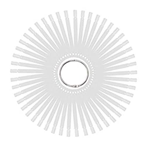 DECORNIJIA 50 Stück Teiliges Transparentes Nagelkunst Übungsschablonen Fächerförmige Farbpalette für Nagellack Übungs und Display Vorlagen Geeignet für Anfänger und Professionelle Maniküre von DECORNIJIA