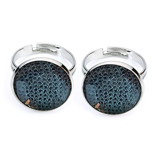 DECORNIJIA 75 Stück Aufkleber Kühlschrank Etikett Patch runder flacher Rücken spaß reminescence mini accessoires home decor eincremehilfe handyhulle kalanchoe wohnungseinrichtung verkleidung von DECORNIJIA