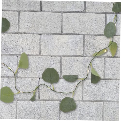 DECORNIJIA Eukalyptus Lichterkette LED Girlande Künstliche Lichter Innen für Hochzeiten Dekoration Romantische Feier Fenster Tür Beleuchtung DECORNIJIA Eukalyptus Lichterkette LED Girlande Künstliche Lichter Innen für Hochzeiten Dekoration Romantische Feier Fenster Tür Beleuchtung von DECORNIJIA