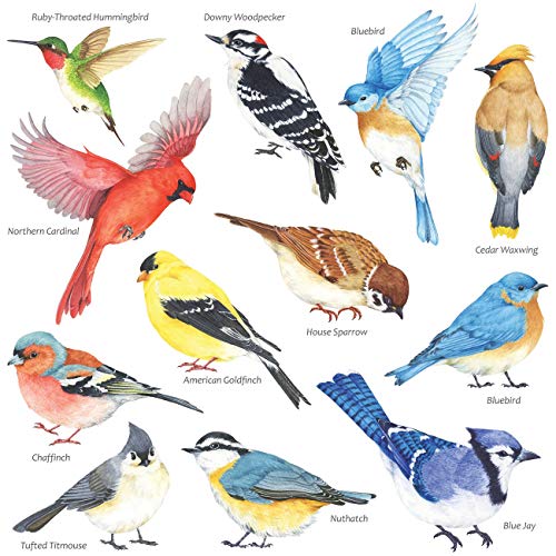 DECOWALL DS2-8042 Kleine Vögel Wandtattoo Wandsticker Wandaufkleber Wanddeko für Wohnzimmer Schlafzimmer Kinderzimmer(Klein) von DECOWALL