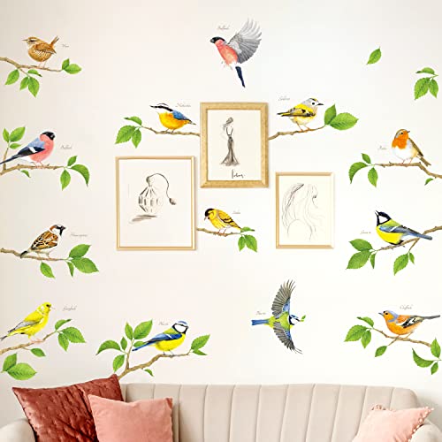 DECOWALL DS-8061 Vögel Wandtattoo set Wandaufkleber Kolibriwandaufkleber für Schlafzimmer Wohnzimmer Kinderzimmer Flur Küche Fenster Deko Wanddeko von DECOWALL