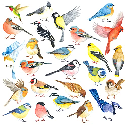DECOWALL DS4-8063 25 Vögel Wandtattoo set Wandaufkleber Kolibriwandaufkleber für Schlafzimmer Wohnzimmer Kinderzimmer Flur Küche Fenster Deko Wanddeko DECOWALL DS4-8063 25 Vögel Wandtattoo set Wandaufkleber Kolibriwandaufkleber für Schlafzimmer Wohnzimmer Kinderzimmer Flur Küche Fenster Deko Wanddeko von DECOWALL