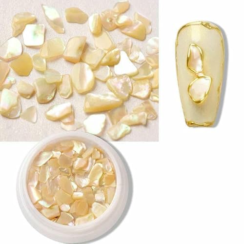 1Box Natürliche Aurora Muschelflocken Nagelkunst Dekorationen Bunte Muschel Stein Maniküre Zubehör -MP1388ZH02 von DEFRTG