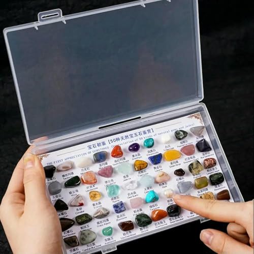 50 Stück, 1 Box, Mineralproben, natürliche Edelsteine, Jade, erste Wertschätzung, Geographieunterricht, Sammlerstücke, rohe Edelsteine, Heilkristall, 1 Box 50 Stück, 1 Box, Mineralproben, natürliche Edelsteine, Jade, erste Wertschätzung, Geographieunterricht, Sammlerstücke, rohe Edelsteine, Heilkristall, 1 Box von DEFRTG