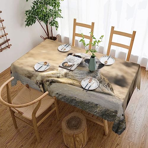 Tischdecke mit Erdmännchen-Motiv, flecken- und knitterfrei, waschbar, rechteckig, für Küche, Esszimmer, Party, Heimdekoration, 140 x 180 cm von DEHIWI