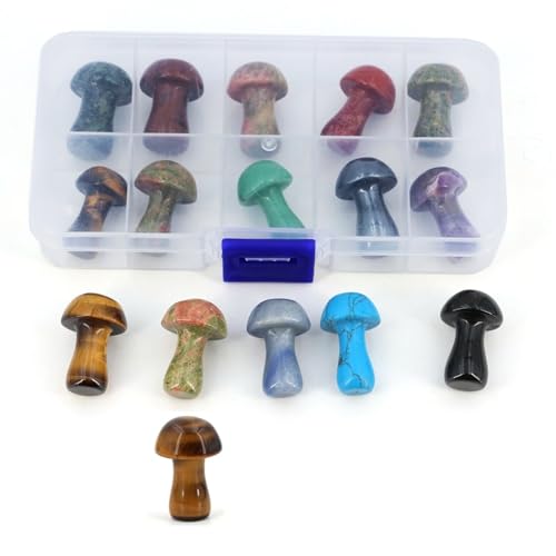 10 Stück/Box, zufälliger natürlicher Rohstein-Set, Kristall, geschnitzt, Totenkopf, runde Perlen, Chakra, Herzform, Apfelanhänger, Geschenk, Pilz Nr. 1 10 Stück/Box, zufälliger natürlicher Rohstein-Set, Kristall, geschnitzt, Totenkopf, runde Perlen, Chakra, Herzform, Apfelanhänger, Geschenk, Pilz Nr. 1 von DEJIN
