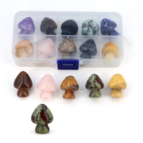 10 Stück/Box, zufälliger natürlicher Rohstein-Set, Kristall, geschnitzter Totenkopf, runde Perlen, Chakra, Herzform, Apfelanhänger, Geschenk, Pilz Nr. 2 10 Stück/Box, zufälliger natürlicher Rohstein-Set, Kristall, geschnitzter Totenkopf, runde Perlen, Chakra, Herzform, Apfelanhänger, Geschenk, Pilz Nr. 2 von DEJIN