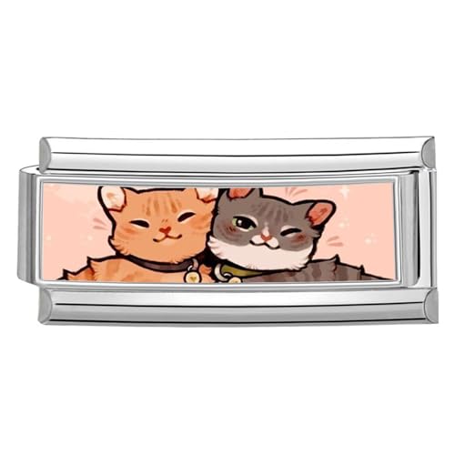 DEKKRYNFV Edelstahlanschlüsse Modular Photo Theme Links Und Charms Für Anpassbare Schmuckverarbeitung Modulare Schmuckset von DEKKRYNFV