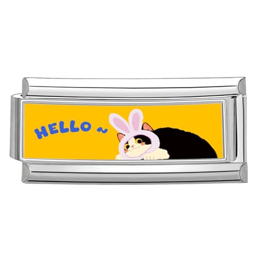 DEKKRYNFV Edelstahlanschlüsse Modular Photo Theme Links Und Charms Für Anpassbare Schmuckverarbeitung Modulare Schmuckset von DEKKRYNFV
