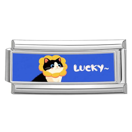 DEKKRYNFV Edelstahlanschlüsse Modular Photo Theme Links Und Charms Für Anpassbare Schmuckverarbeitung Modulare Schmuckset von DEKKRYNFV