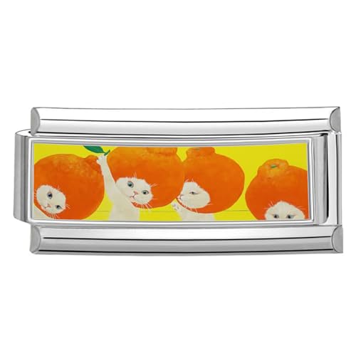 DEKKRYNFV Edelstahlanschlüsse Modular Photo Theme Links Und Charms Für Anpassbare Schmuckverarbeitung Modulare Schmuckset von DEKKRYNFV