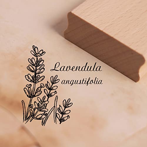 Motivstempel Lavendel Lavandula angustifolia Stempel 48 x 48 mm von DEKO-LANDO