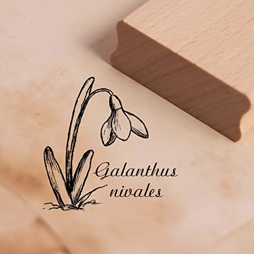 Motivstempel Schneeglöckchen Galanthus nivalis Stempel 38 x 38 mm von DEKO-LANDO