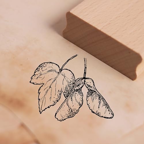 Dekolando Motivstempel Ahornfrucht - Stempel Ahorn Holzstempel - Abdruck 48 x 38 mm von DEKOLANDO
