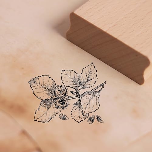 Dekolando Motivstempel Bucheckern - Buche Stempel Baum Natur Holzstempel Scrapbooking Stempeln - Abdruck 48 x 38 mm von DEKOLANDO