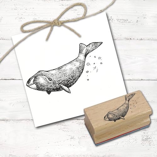 Dekolando Motivstempel Grönlandwal schwimmt nach links - Stempel Wal Holzstempel Scrapbooking - Abdruck 48 x 28 mm Dekolando Motivstempel Grönlandwal schwimmt nach links - Stempel Wal Holzstempel Scrapbooking - Abdruck 48 x 28 mm von DEKOLANDO