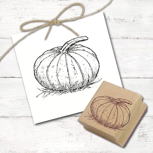 Dekolando Motivstempel Großer Kürbis - Herbst Stempel Holzstempel Scrapbooking - Abdruck 48 x 38 mm Dekolando Motivstempel Großer Kürbis - Herbst Stempel Holzstempel Scrapbooking - Abdruck 48 x 38 mm von DEKOLANDO