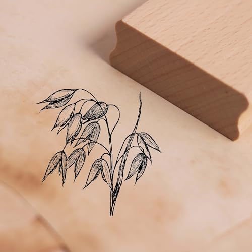 Dekolando Motivstempel Hafer Ähre - Stempel Getreide Holzstempel Scrapbooking Stempeln - Abdruck 48 x 48 mm Dekolando Motivstempel Hafer Ähre - Stempel Getreide Holzstempel Scrapbooking Stempeln - Abdruck 48 x 48 mm von DEKOLANDO