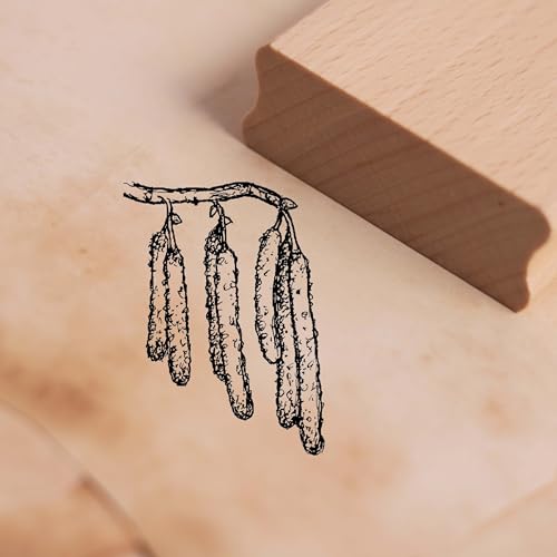 Motivstempel Haselnussblüte - Haselnussstrauch Stempel Holzstempel Scrapbooking 28 x 38 mm von DEKOLANDO