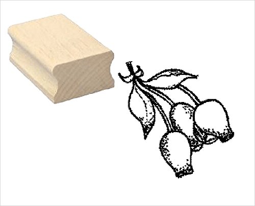 Stempel Holzstempel Motivstempel « HAGEBUTTE » Scrapbooking - Pflanze von DEKOLANDO
