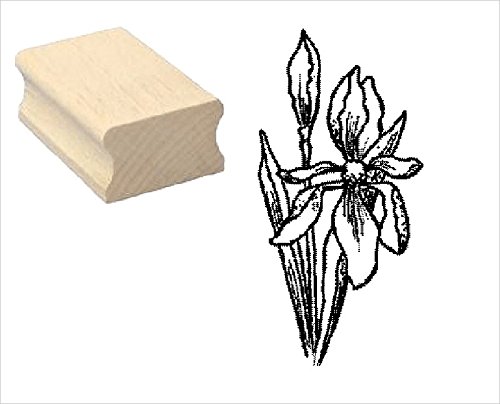 Stempel Holzstempel Motivstempel « IRIS » Scrapbooking - Pflanze Stempel Holzstempel Motivstempel « IRIS » Scrapbooking - Pflanze von DEKOLANDO