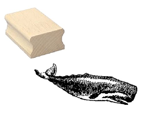 Stempel Holzstempel Motivstempel « POTTWAL » Scrapbooking - Embossing Kinderstempel Tierstempel Wal Meereskunde von DEKOLANDO