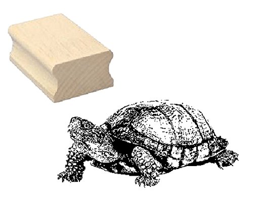 Stempel Holzstempel Motivstempel « SCHILDKRÖTE » Scrapbooking - Embossing Kinderstempel Tierstempel Meeresschildkröte Riesenschildkröte Stempel Holzstempel Motivstempel « SCHILDKRÖTE » Scrapbooking - Embossing Kinderstempel Tierstempel Meeresschildkröte Riesenschildkröte von DEKOLANDO