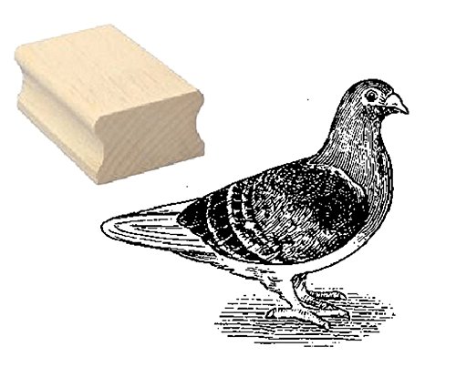 Stempel Holzstempel Motivstempel « STADTTAUBE » Scrapbooking - Embossing Kinderstempel Tierstempel Zoo Tierpark Taubenzüchter Taube Stempel Holzstempel Motivstempel « STADTTAUBE » Scrapbooking - Embossing Kinderstempel Tierstempel Zoo Tierpark Taubenzüchter Taube von DEKOLANDO
