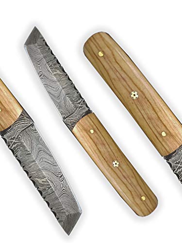 DELLINGER Mini Tanto Olive & Damastmesser & Damaststahl Messer & Outdoor Jagd Damastmesser 75 mm Klinge & inklusive Lederscheide DELLINGER Mini Tanto Olive & Damastmesser & Damaststahl Messer & Outdoor Jagd Damastmesser 75 mm Klinge & inklusive Lederscheide von DELLINGER