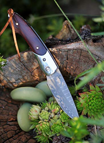 DELLINGER Mushroom Killer VG-10 Damast Taschenmesser & Klappmesser & Damaststahl Messer & Outdoor Damastmesser Folder Knife 7,5 cm Klinge DELLINGER Mushroom Killer VG-10 Damast Taschenmesser & Klappmesser & Damaststahl Messer & Outdoor Damastmesser Folder Knife 7,5 cm Klinge von DELLINGER