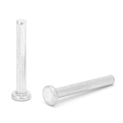DEWIN M2.5 Nägelnieten Sortiment Kit 100pcs M2.5 * 18/20mm Flat Head Aluminium Nieten Counterunk Solid Niets für Elektrische Anwendungen Lederarbeitsbedarf (M2.5 * 18) von DEWIN
