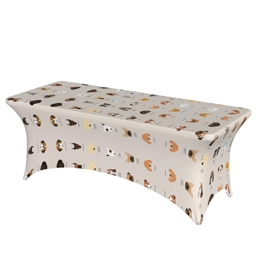 DEXNEL Tischdecke, rechteckig, waschbar, Polyester, für Bankett, Event, Catering, 1 Stück DEXNEL Tischdecke, rechteckig, waschbar, Polyester, für Bankett, Event, Catering, 1 Stück von DEXNEL