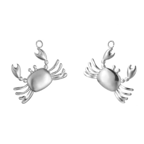 DFLINGA 6 Stück Edelstahl-Anhänger mit Meerestieren, Hummer, Fisch, Krabbe, Insekt, für Halsketten, Armbänder, Ohrringe, DIY-Schmuckherstellung DFLINGA 6 Stück Edelstahl-Anhänger mit Meerestieren, Hummer, Fisch, Krabbe, Insekt, für Halsketten, Armbänder, Ohrringe, DIY-Schmuckherstellung von DFLINGA