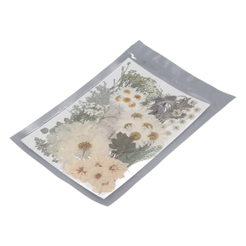 Gepresste Blüten getrocknete Blätter DIY -Kit für Handwerkskraper -Harzformlieferungen 100pcs von DGLDCSHUAI