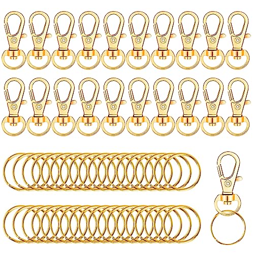 100 Stück Schlüsselanhänger zum Basteln,25mm Schlüsselring mit Karabiner,Mini Karabiner Schlüsselanhänger,Karabinerhaken Klein Schlüsselanhänger,für DIY Lanyards Ornamente Schmuckherstellung (Gold) von DGN