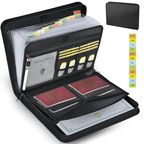 DHSDONLINE A4 Dokumentenmappe mit 13 Fächern, Dokumentenmappe A4 Leder mit Reißverschluss, Etikett wichtige Unterlagen (Schwarz, transparentes Akkordeon-Design) von DHSDONLINE