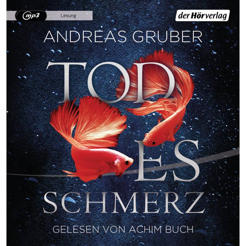 Sabine Nemez Und Maarten Sneijder - 6 - Todesschmerz - Andreas Gruber (Hörbuch) von DHV Der HörVerlag