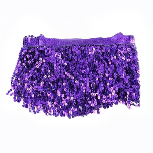 Quasten-Spitze 2/5/9 Meter 16 cm Perlen-Fransenbesatz, Pailletten-Nähquaste, bestickte Fransen, Spitzenband, lateinamerikanisches Kleid, Bekleidungsbesatz-Zubehör(Purple,16cm-2Meters) von DHYUACN