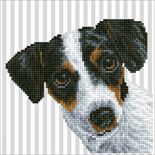 DIAMOND DOTZ DD3.023 - Original 5D Diamond Painting Set Hund, Kreativset mit 3.579 Diamant Mosaiksteinen, Malset ca. 20 x 20 cm, DIY Komplettset für Erwachsene und Kinder ab 8 Jahren von DIAMOND DOTZ