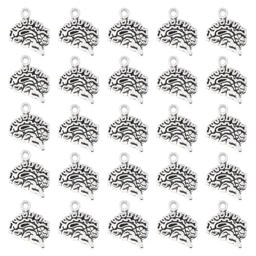 DICOSMETIC 120 Stück Anatomischer Gehirn Charms 3D Gehirn Charme Antik Silber Anatomie Mensch Charme Tibetischem Stil Gothic Anhänger Biologie Studenten Geschenk Für Schmuckherstellung DICOSMETIC 120 Stück Anatomischer Gehirn Charms 3D Gehirn Charme Antik Silber Anatomie Mensch Charme Tibetischem Stil Gothic Anhänger Biologie Studenten Geschenk Für Schmuckherstellung von DICOSMETIC