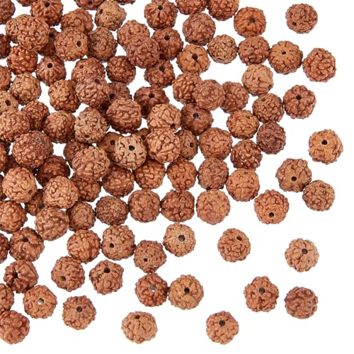 DICOSMETIC 150 Stück Rudraksha Perlen Meditations Gebetsperlen Runde Lose Energieperlen 5-6 mm Bodhi Perlen Naturholzperlen Für DIY Armband Schmuckherstellung DICOSMETIC 150 Stück Rudraksha Perlen Meditations Gebetsperlen Runde Lose Energieperlen 5-6 mm Bodhi Perlen Naturholzperlen Für DIY Armband Schmuckherstellung von DICOSMETIC