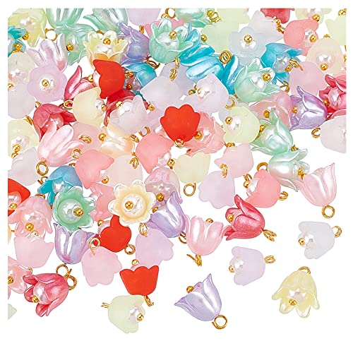 DICOSMETIC 200 Stück 2 Stil Kunststoff Blume Perle Acryl Nachahmung Perle Blume Perle Anhänger Kunststoff Charme Mit Messing Charme Anhänger Mit Loch Für DIY Schmuckherstellung, Bohrung: 1.6/2mm von DICOSMETIC