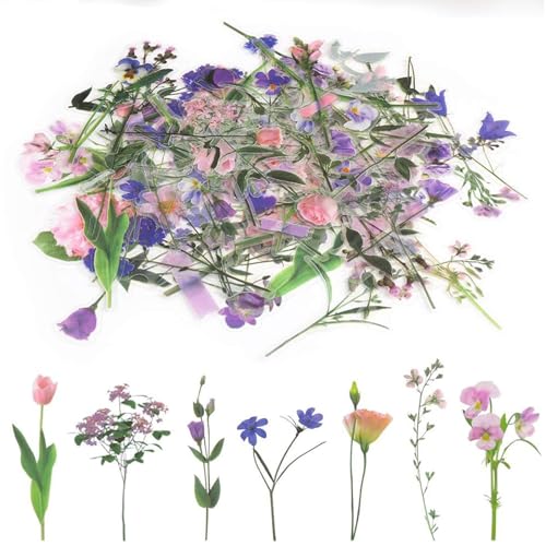80 PCS Blumen Sticker Pflanzen, Transparent Flower Sticker, PET Wasserdicht Transparent Sticker Scrapbooking, Geeignet für Sammelalben, Fotoalben, Tagebücher, Notizbücher 80 PCS Blumen Sticker Pflanzen, Transparent Flower Sticker, PET Wasserdicht Transparent Sticker Scrapbooking, Geeignet für Sammelalben, Fotoalben, Tagebücher, Notizbücher von DIELIANHUA