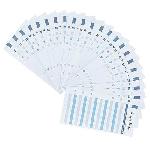 DIKACA 50 Blatt Budgetkarten mit Löchern Cash Budget Buch für Detaillierte Aufzeichnungen Praktische Budgetplanung für Geldorganisierer und Budget Binder von DIKACA
