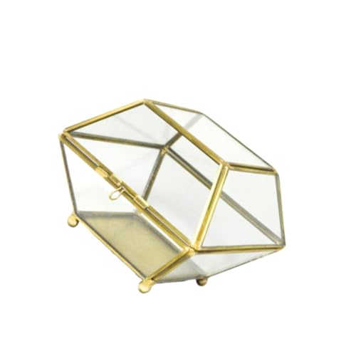 DIKACA Transparentes Schmuckkästchen aus Glas Große Aufbewahrungsbox für Ohrringe und Halsketten Dekorativer Organizer für Damen und Mädchen Elegante Schmuckschatulle zur Sicheren DIKACA Transparentes Schmuckkästchen aus Glas Große Aufbewahrungsbox für Ohrringe und Halsketten Dekorativer Organizer für Damen und Mädchen Elegante Schmuckschatulle zur Sicheren von DIKACA