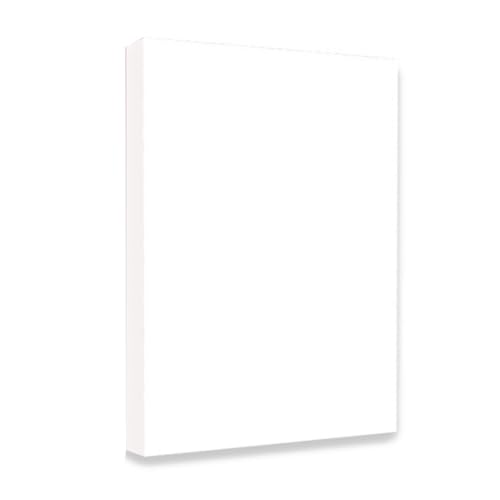 DINESA Sublimations-Vinyl-Papier, A3, Weiß, 29 x 41 cm, Aufkleberpapier für Tintenstrahldrucker, 100 Blatt von DINESA