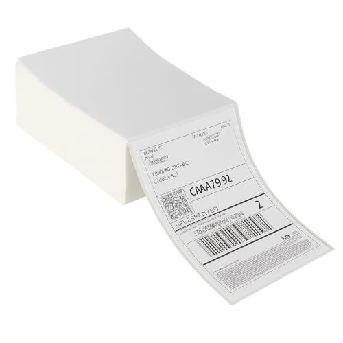 DINGYI 500 Thermo-Transportetiketten mit Perforationen, handelsübliches Druckpapier, kompatibel mit Ebay, Amazon, UPS und den meisten Kurierunternehmen (500 Etiketten) von DINGYI