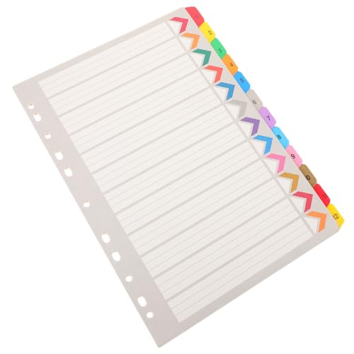 DINHEAROM 12 Blatt Ringbuch Trennblätter Bunte Registerkarten für Notizbuch und Büro Einfach Beschriftbar für Organisation und Lernen von DINHEAROM