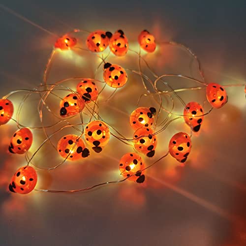 DINOWIN LED Lichterkette Marienkäfer Design 9.8Ft 30 LED Ladybird LEDs Kupferdraht Lichterketten Akku Maikäfer DIY Weihnachten Lichterkette für Zimmer, Garten, Party, Weihnachten (Rot) von DINOWIN